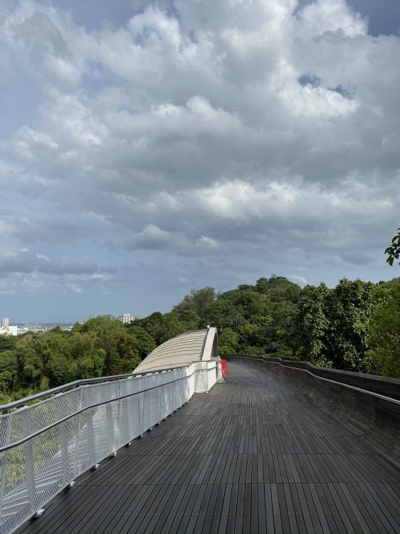 Route, Surface de la Route, la Journée, Infrastructure, Pente. Wallpaper in 1536x2048 Resolution