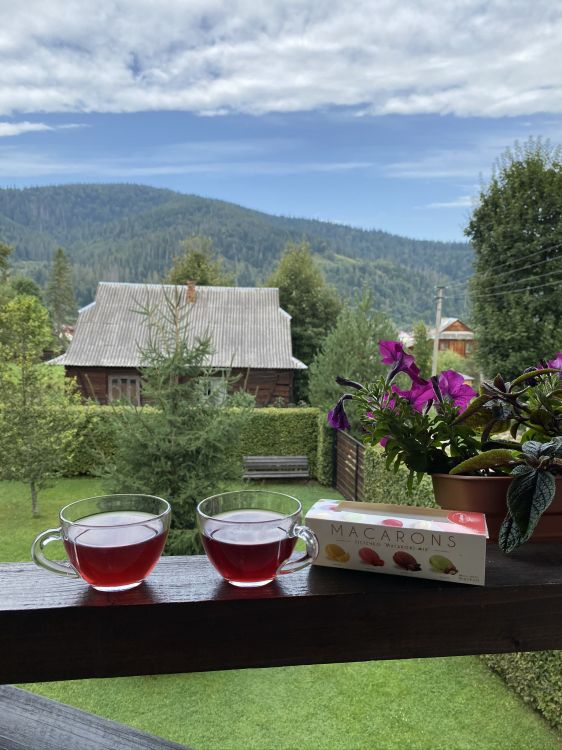 Haus, Immobilie, Blumentopf, Baum, Serveware. Wallpaper in 1536x2048 Resolution