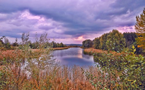 Image green and brown grass near lake under cloudy sky during daytime