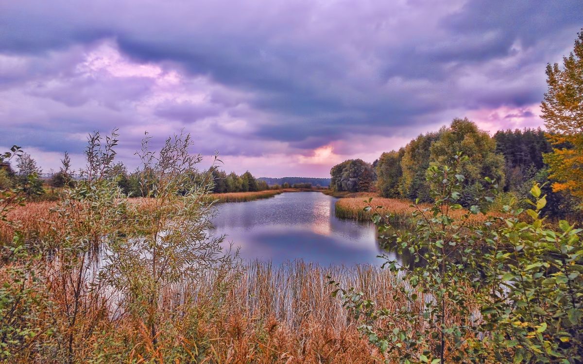 green and brown grass near lake under cloudy sky during daytime