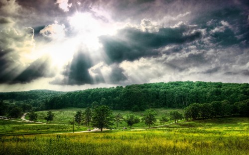 Image green grass field under white clouds