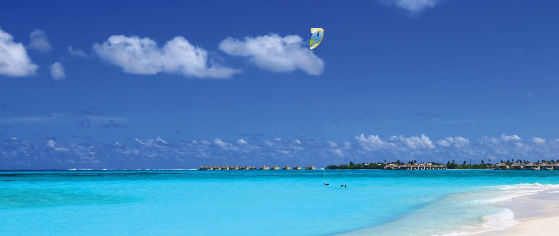 Wallpaper People on Beach During Daytime, Background - Download Free Image