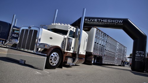 Image white freight truck on road during daytime