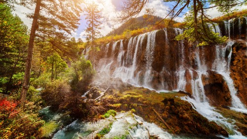 Image waterfalls in forest during daytime