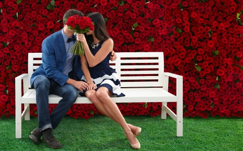 Image red, sitting, grass, leg, interaction