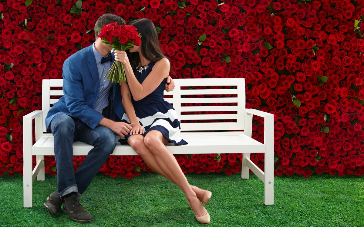 red, sitting, grass, leg, interaction