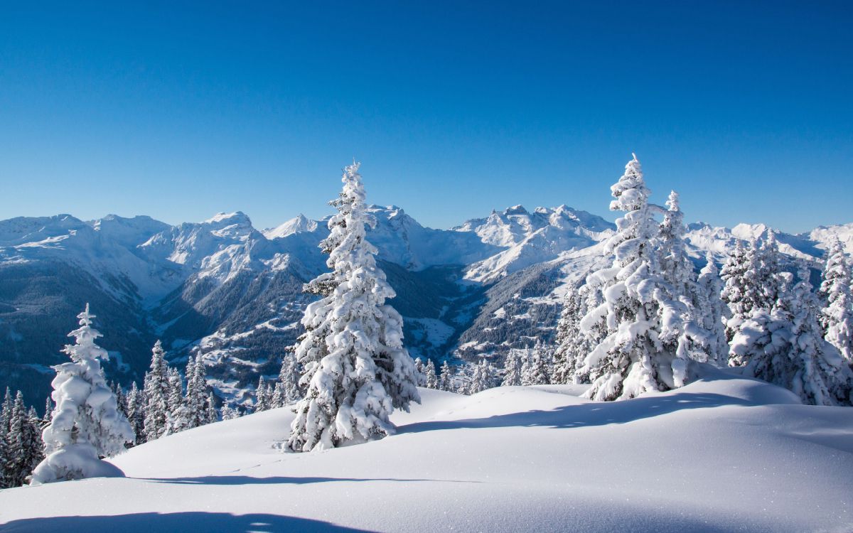 snow covered mountain under blue sky during daytime