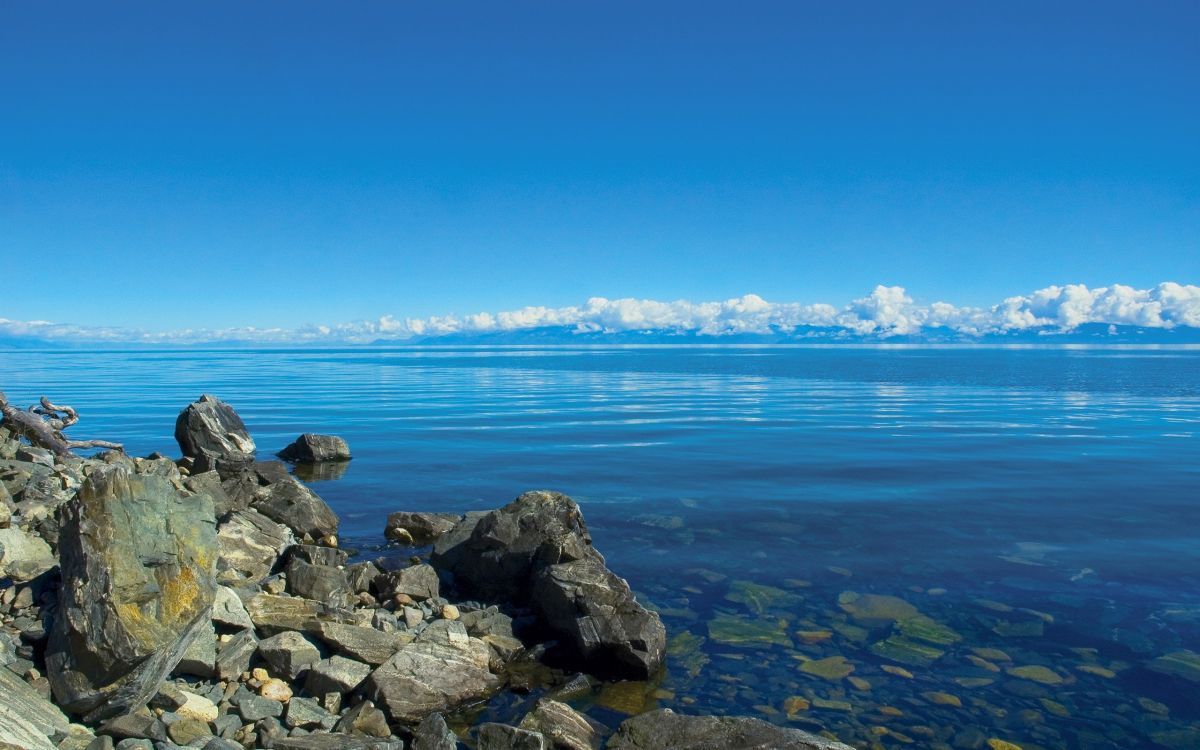 gray rocks near body of water during daytime