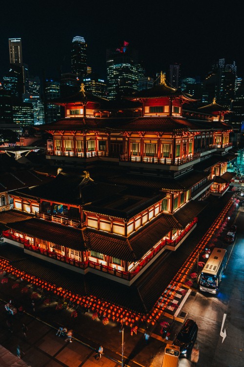 Image red and brown temple during night time