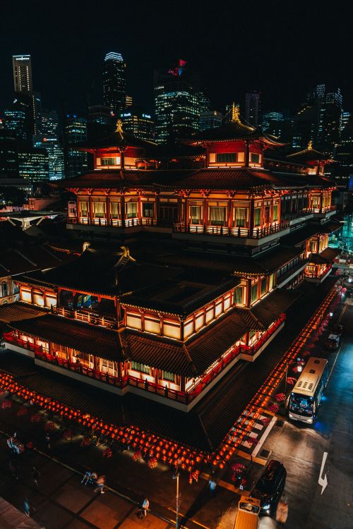 red and brown temple during night time