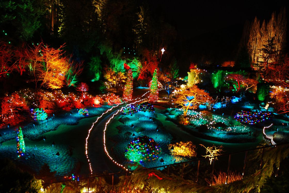 canada nature night, The Butchart Gardens, nature, night, water