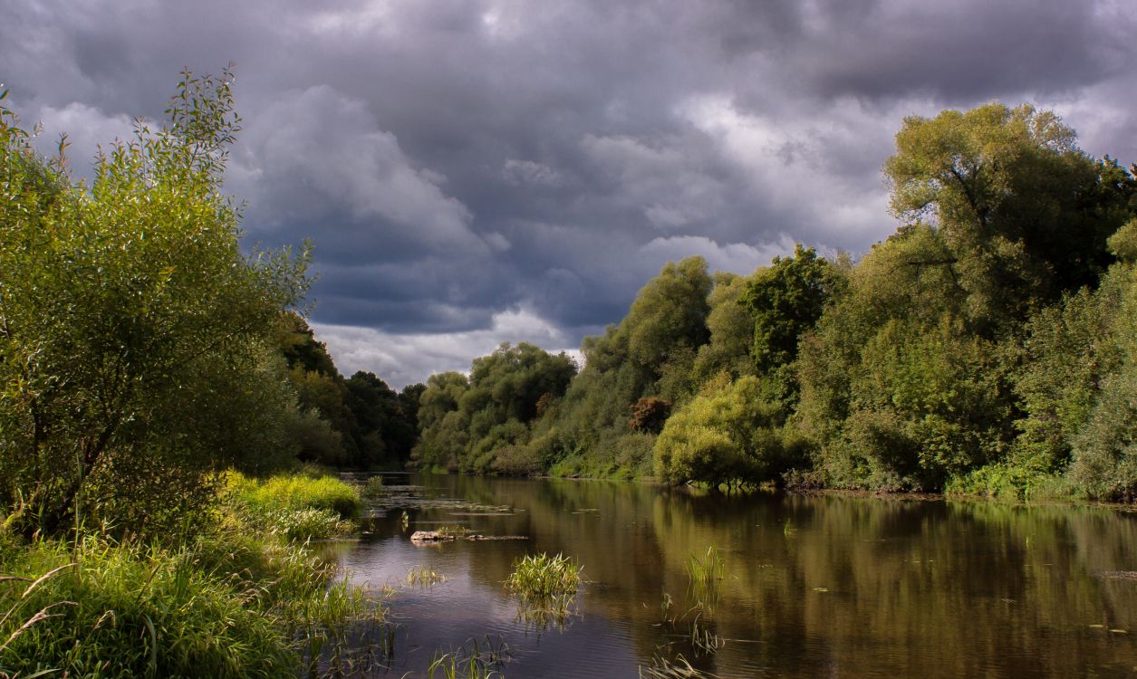 Grüne Bäume Neben Dem Fluss Unter Bewölktem Himmel Tagsüber. Wallpaper in 2892x1728 Resolution