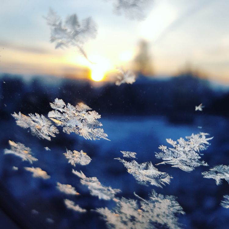 Snowflakes Falling, Snowflake, Cloud, Atmosphere, Daytime. Wallpaper in 2988x2988 Resolution