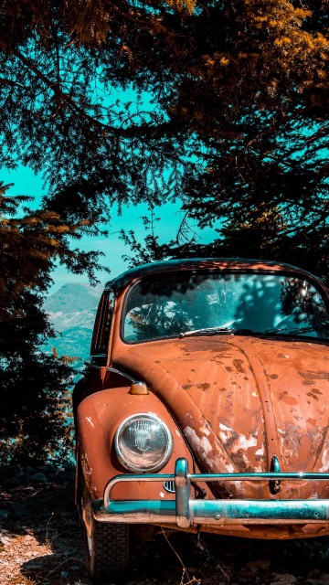 Image old car parked under tree, volkswagen beetle, cars, vintage car, volkswagen