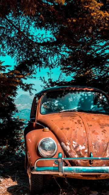 Image old car parked under tree, volkswagen beetle, cars, vintage car, volkswagen
