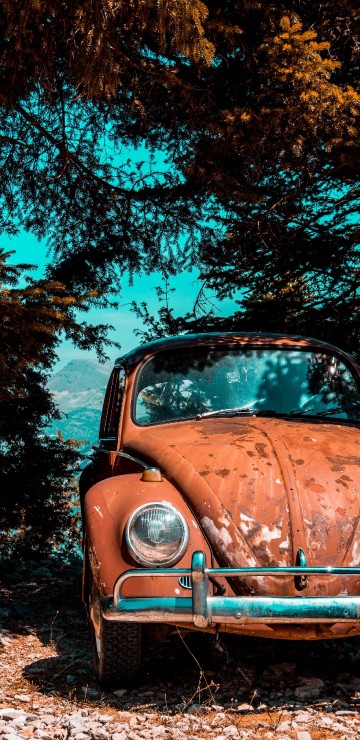 Image old car parked under tree, volkswagen beetle, cars, vintage car, volkswagen