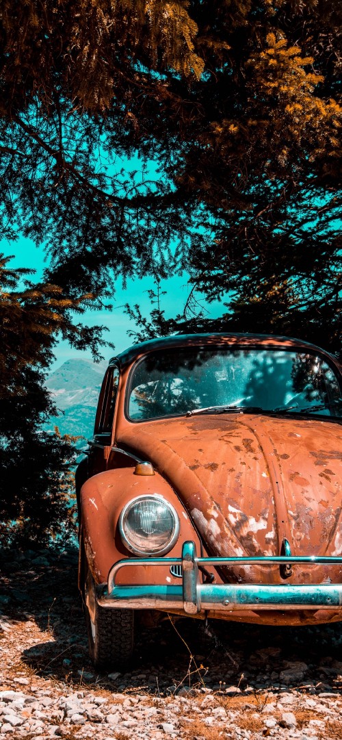 Image old car parked under tree, volkswagen beetle, cars, vintage car, volkswagen