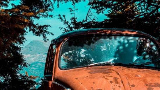 Image old car parked under tree, volkswagen beetle, cars, vintage car, volkswagen