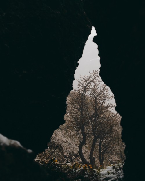 Image rock, black, branch, M-tree, cloud