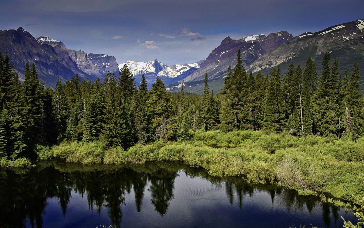 Árboles Verdes Cerca Del Lago y la Cordillera. Wallpaper in 2560x1600 Resolution
