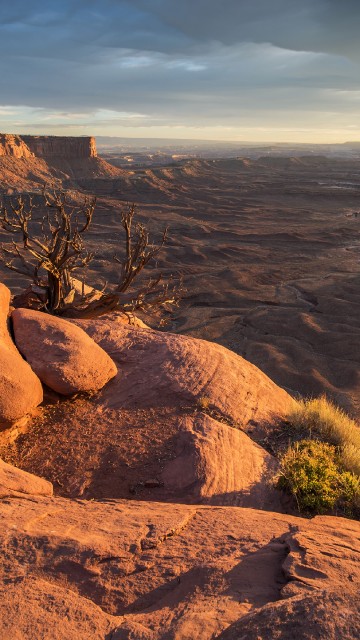 Image brown rock formation near green grass field during daytime