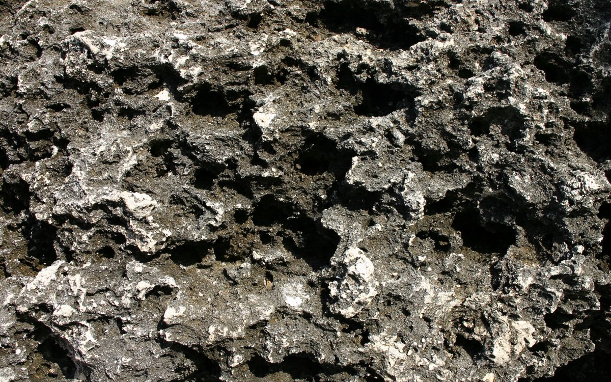 Fragmento de Piedra Blanco y Negro. Wallpaper in 2560x1600 Resolution