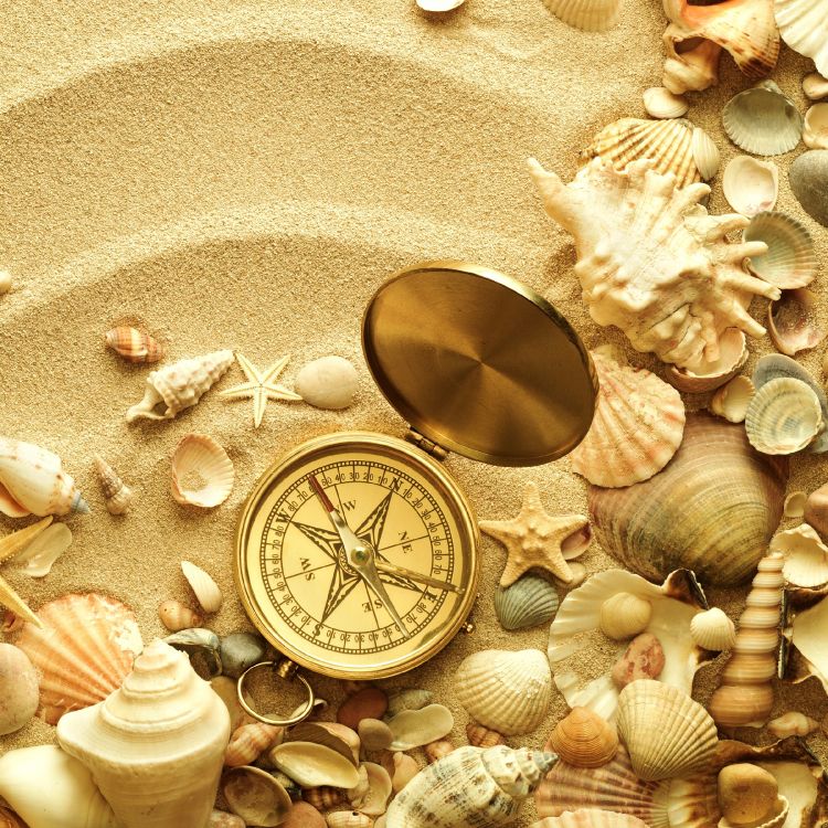 la Mer Doit, Coquillage, Mer, Plage, Nature. Wallpaper in 2400x2400 Resolution