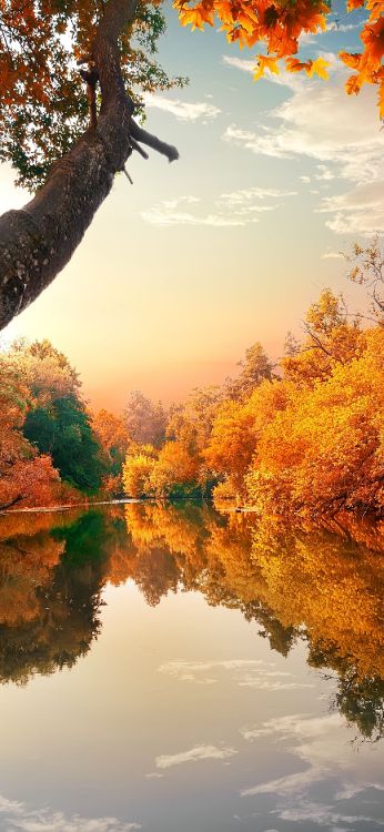 Río en Otoño, Río, Río Androscoggin, Color de Las Hojas en Otoño, Agua. Wallpaper in 1300x2814 Resolution