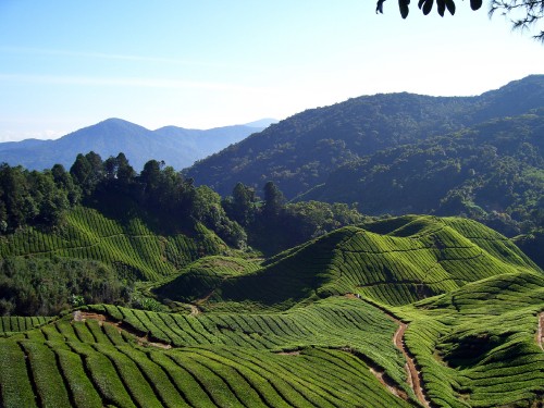 Image green mountains under blue sky during daytime