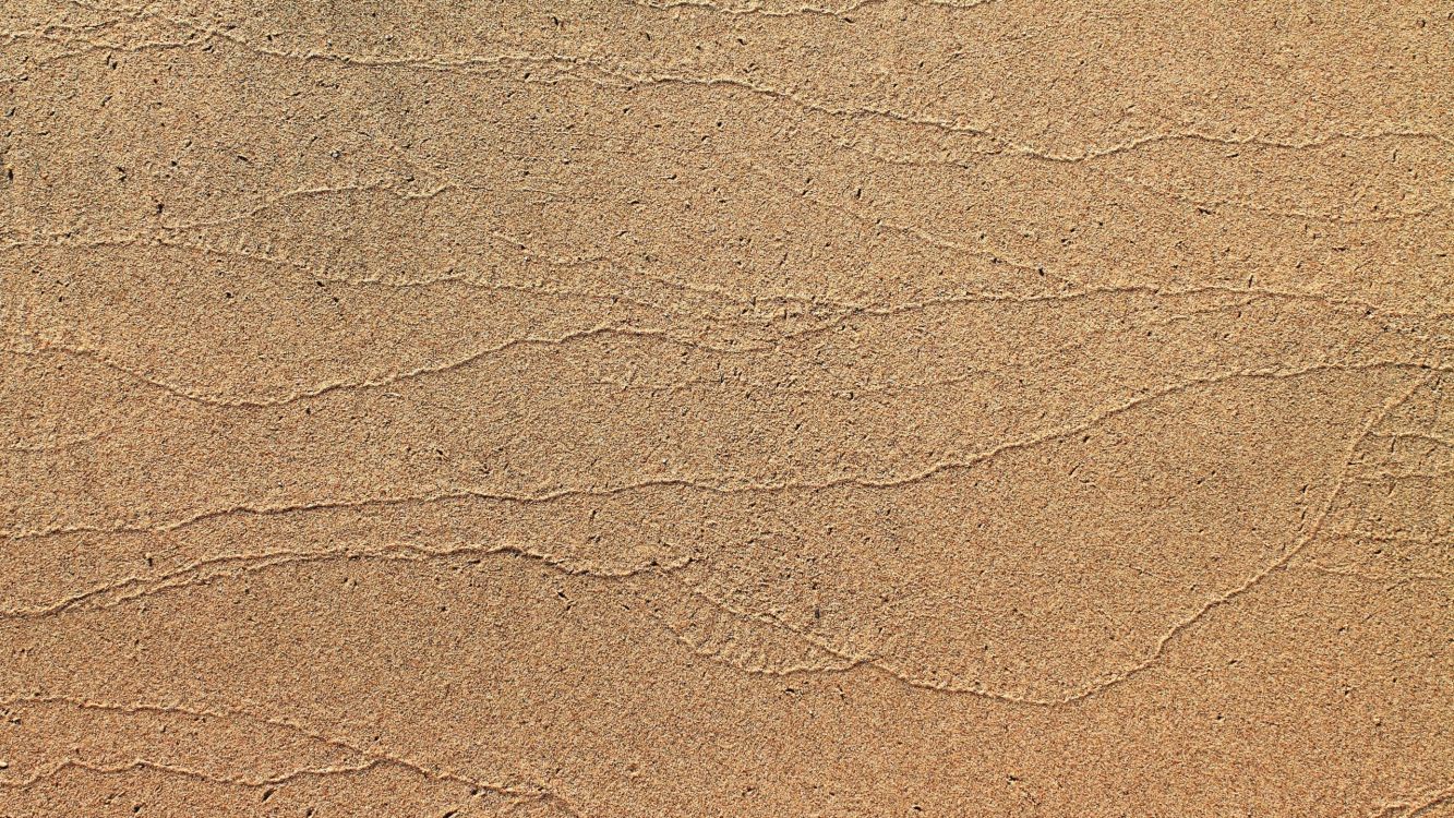 Brown and White Sand During Daytime. Wallpaper in 2560x1440 Resolution