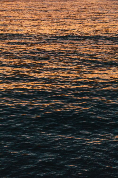 大海, 地平线, 海洋, 冷静, 反射 壁纸 4480x6720 允许