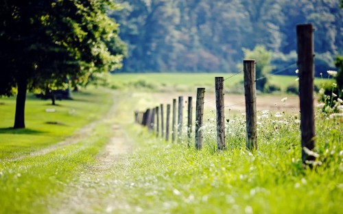 Image brown wooden fence on green grass field during daytime