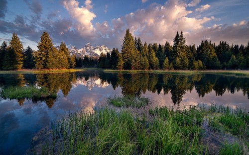 Image green pine trees beside lake under blue sky and white clouds during daytime