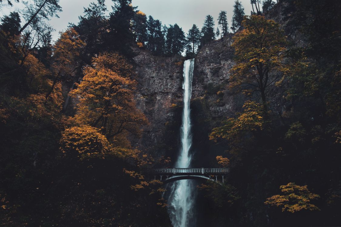 Multnomah Falls, waterfall, water, nature, natural landscape