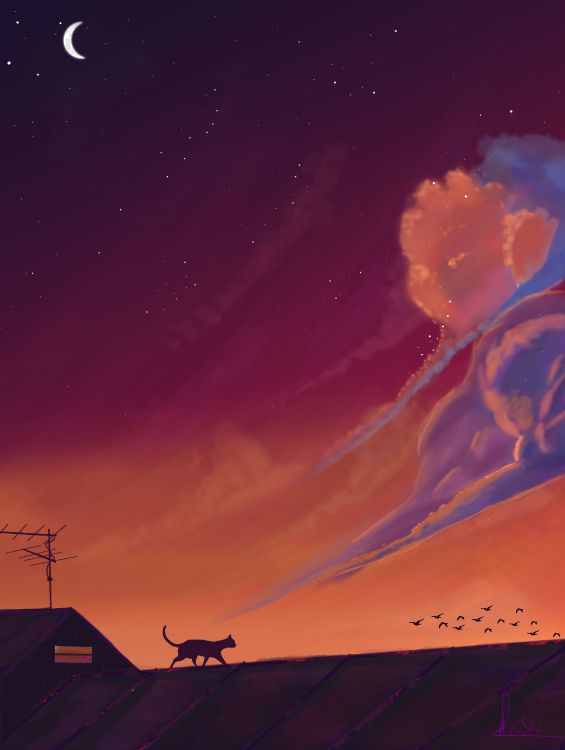 Silueta de Casa Bajo el Cielo Naranja. Wallpaper in 2896x3840 Resolution