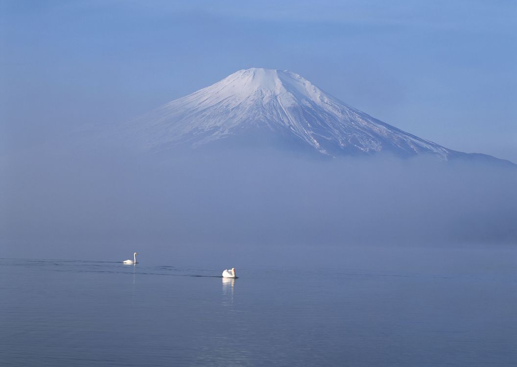 white and black mountain near body of water during daytime