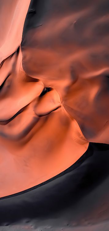 Orange, Wissenschaft, Nase, Lippe, Kinn. Wallpaper in 1421x3000 Resolution