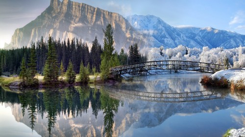 Image green pine trees near lake and mountain range