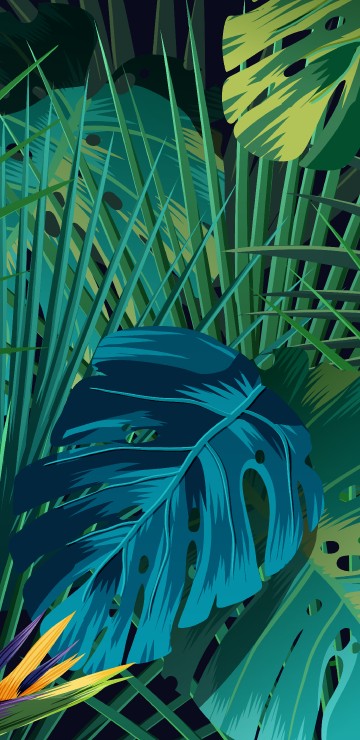 Image vector graphics, illustration, graphics, vector, design