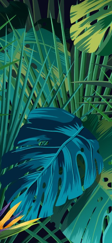 Image vector graphics, illustration, graphics, vector, design