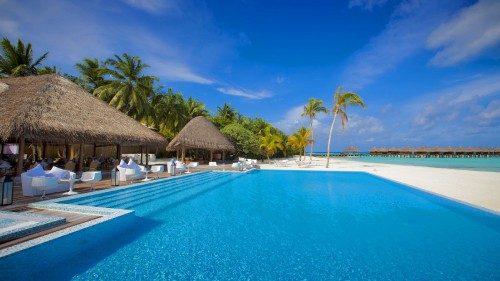 Image brown wooden beach lounge chairs near swimming pool during daytime