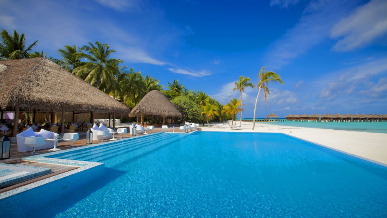 brown wooden beach lounge chairs near swimming pool during daytime