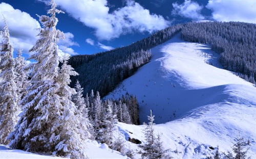 Image snow covered trees and mountains under blue sky and white clouds during daytime