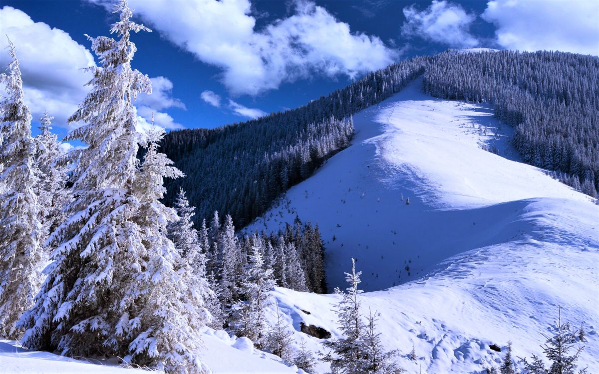 Árboles Cubiertos de Nieve y Montañas Bajo un Cielo Azul y Nubes Blancas Durante el Día. Wallpaper in 2880x1800 Resolution