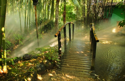 Image brown wooden bridge in the woods