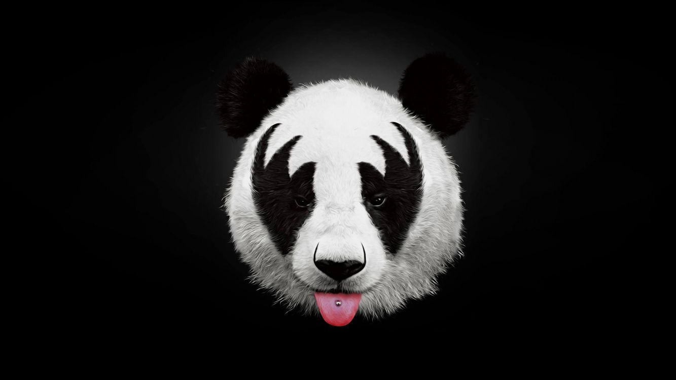 white and black panda illustration