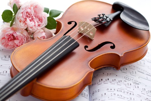 Image violin, cello, string instrument, musical instrument, violin family