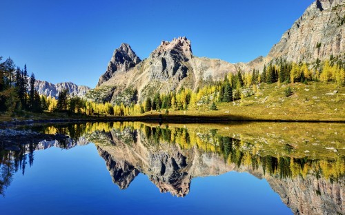 Image green trees near lake and mountain under blue sky during daytime