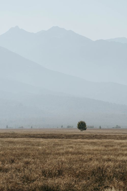 Zona Rural, Mañana, el Parque Nacional De, Ecorregión, Llanura. Wallpaper in 3929x5894 Resolution