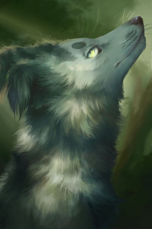 艺术, 关闭了, 野生动物, 草图, 顶级掠食者 壁纸 2048x3072 允许